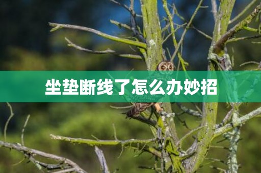 坐垫断线了怎么办妙招
