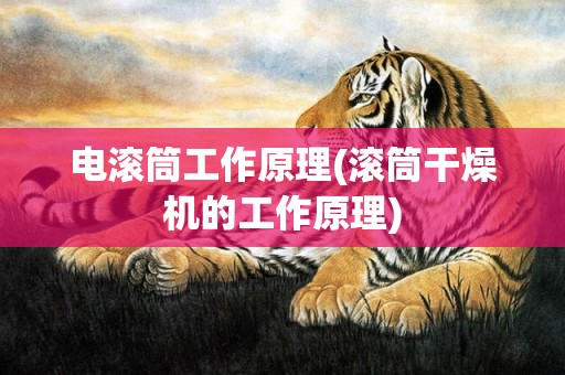 电滚筒工作原理(滚筒干燥机的工作原理)