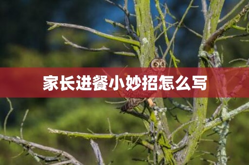 家长进餐小妙招怎么写