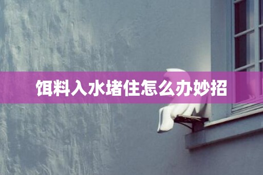 饵料入水堵住怎么办妙招