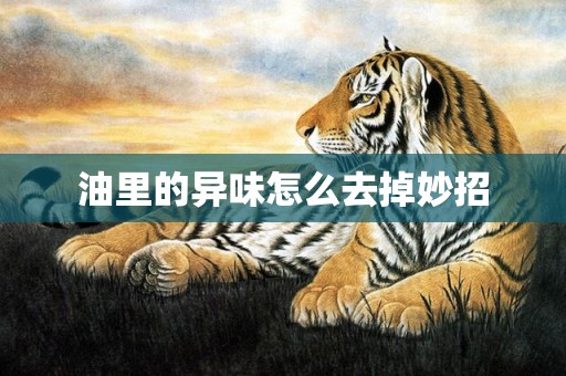 油里的异味怎么去掉妙招