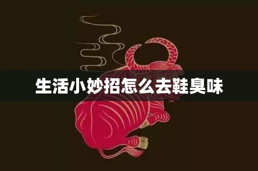 生活小妙招怎么去鞋臭味