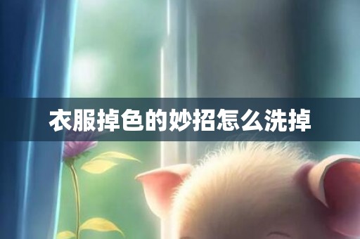 衣服掉色的妙招怎么洗掉