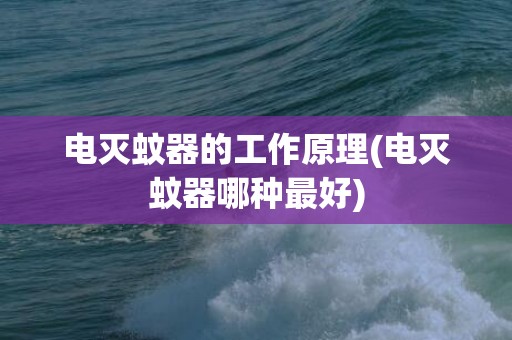 电灭蚊器的工作原理(电灭蚊器哪种最好)