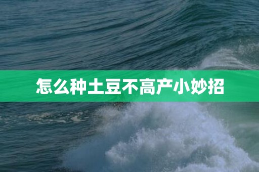 怎么种土豆不高产小妙招