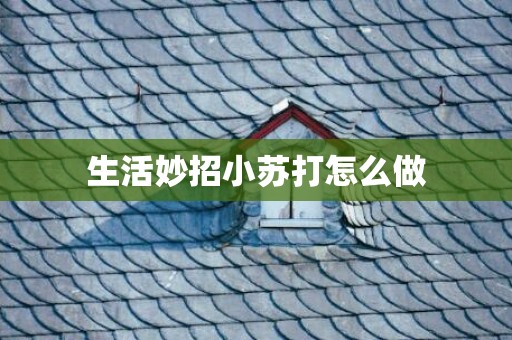 生活妙招小苏打怎么做