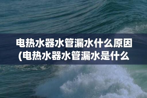 电热水器水管漏水什么原因(电热水器水管漏水是什么原因)