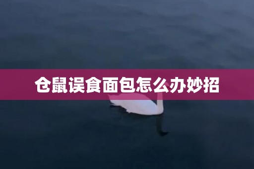 仓鼠误食面包怎么办妙招