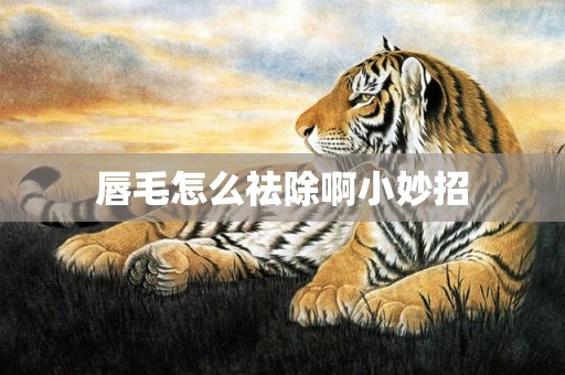 唇毛怎么祛除啊小妙招