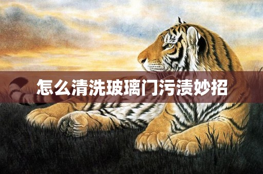 怎么清洗玻璃门污渍妙招