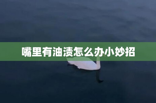 嘴里有油渍怎么办小妙招