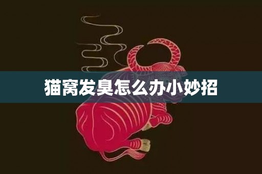 猫窝发臭怎么办小妙招