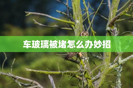 车玻璃被堵怎么办妙招