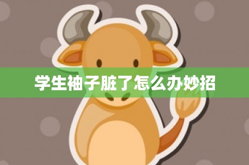 学生袖子脏了怎么办妙招