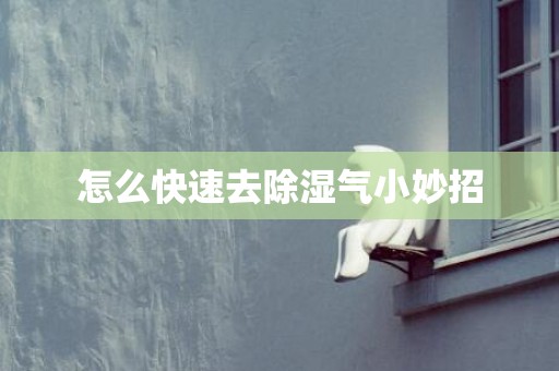 怎么快速去除湿气小妙招