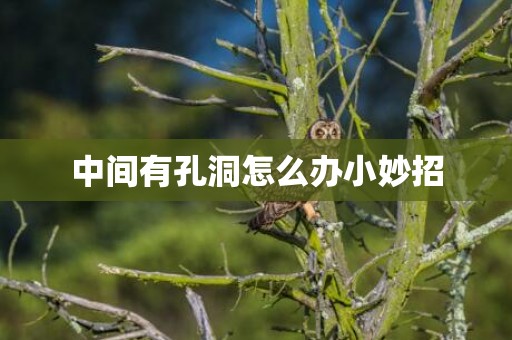 中间有孔洞怎么办小妙招