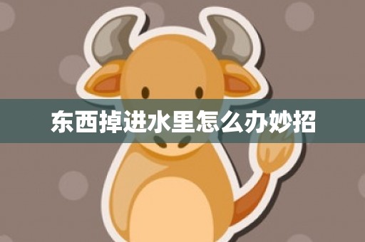 东西掉进水里怎么办妙招
