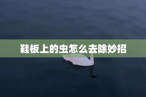 鞋板上的虫怎么去除妙招