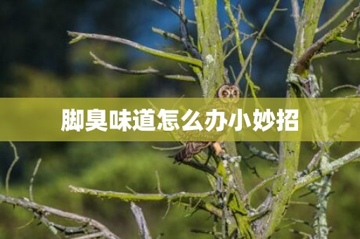 脚臭味道怎么办小妙招
