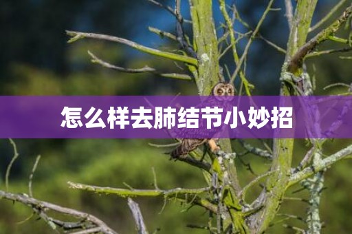 怎么样去肺结节小妙招