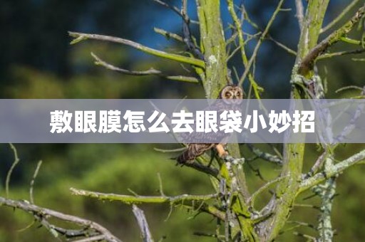 敷眼膜怎么去眼袋小妙招