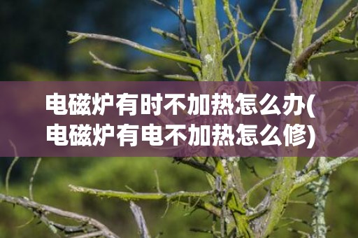 电磁炉有时不加热怎么办(电磁炉有电不加热怎么修)