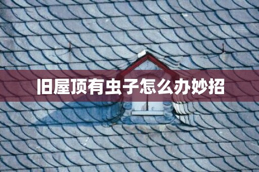 旧屋顶有虫子怎么办妙招