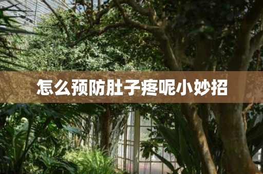 怎么预防肚子疼呢小妙招