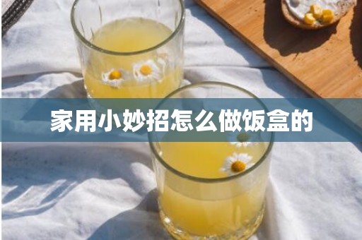 家用小妙招怎么做饭盒的