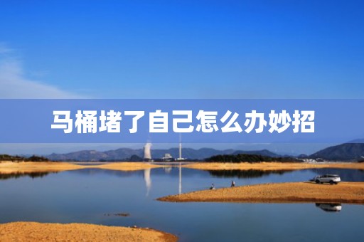马桶堵了自己怎么办妙招