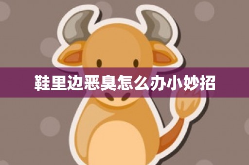 鞋里边恶臭怎么办小妙招