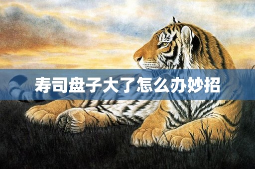 寿司盘子大了怎么办妙招