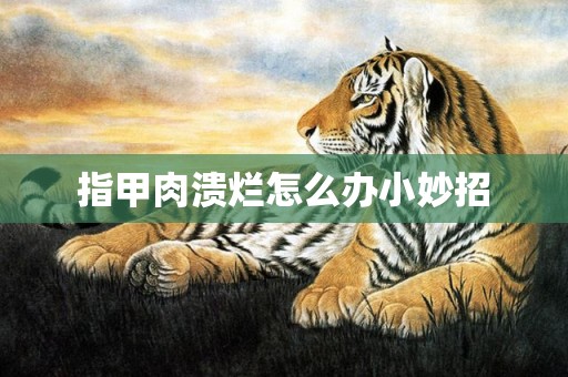 指甲肉溃烂怎么办小妙招