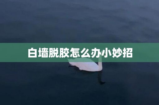 白墙脱胶怎么办小妙招