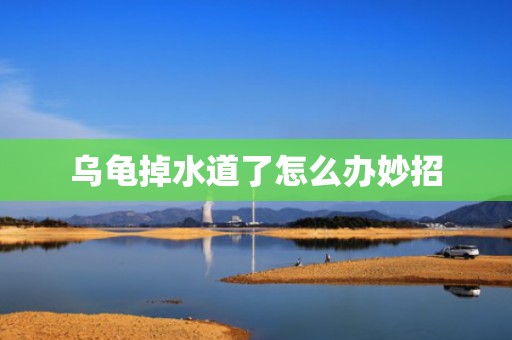 乌龟掉水道了怎么办妙招