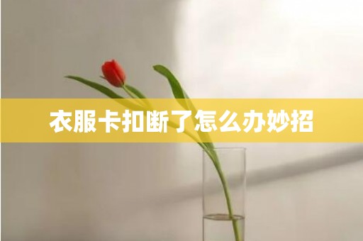 衣服卡扣断了怎么办妙招