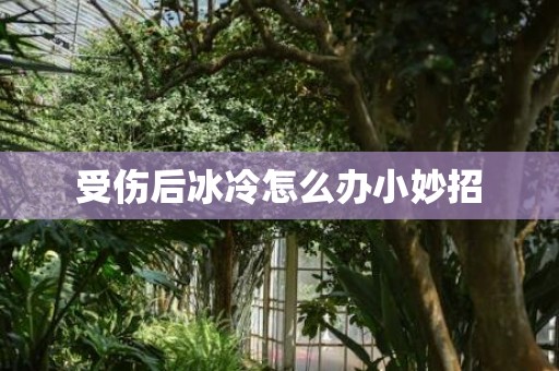 受伤后冰冷怎么办小妙招