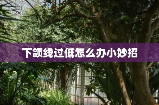 下颌线过低怎么办小妙招