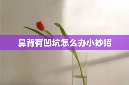 鼻背有凹坑怎么办小妙招