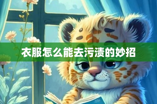 衣服怎么能去污渍的妙招