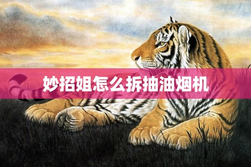 妙招姐怎么拆抽油烟机