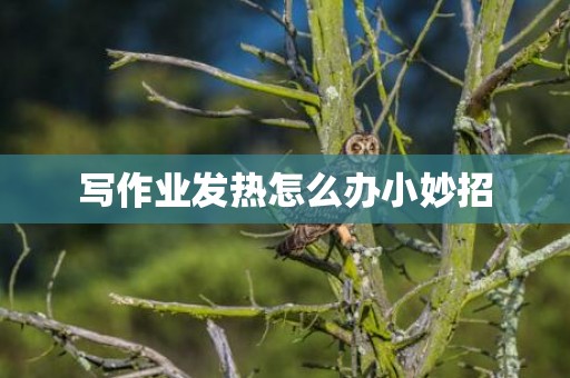 写作业发热怎么办小妙招