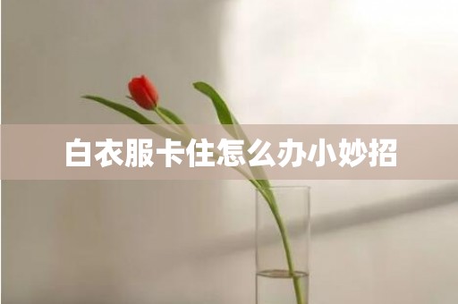 白衣服卡住怎么办小妙招