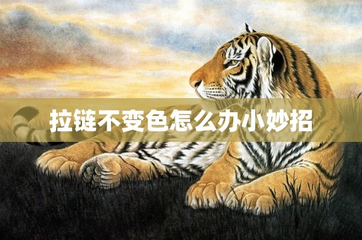 拉链不变色怎么办小妙招