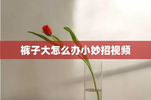 裤子大怎么办小妙招视频