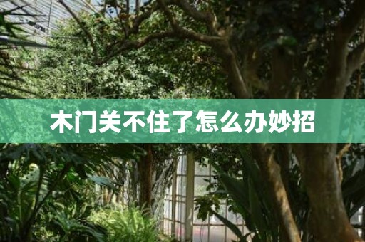 木门关不住了怎么办妙招