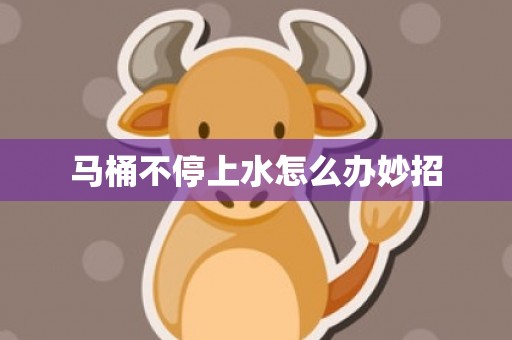 马桶不停上水怎么办妙招