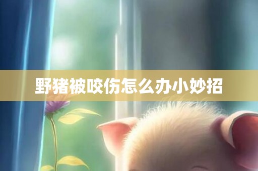 野猪被咬伤怎么办小妙招