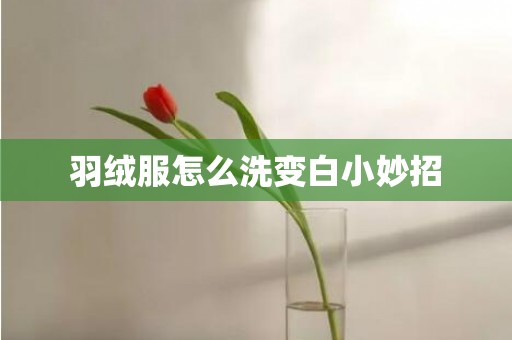 羽绒服怎么洗变白小妙招