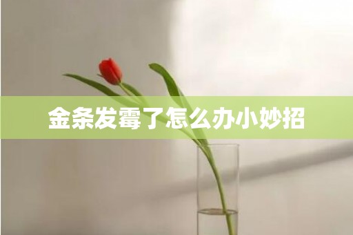 金条发霉了怎么办小妙招